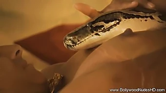 Una MILF india desnuda baila con una serpiente sagrada