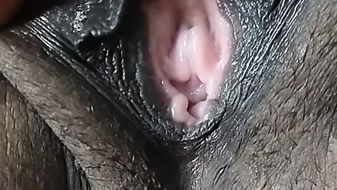 Closeup of my brunette wife's hairy pussy with tight holes