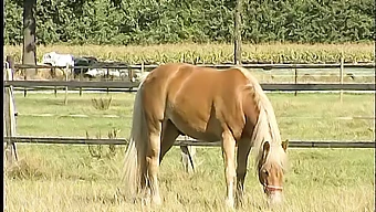 Trange Fitte Tenåring Blir Fingret Og Stønner I Hjemmelaget Video