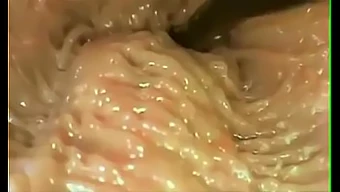 Intim Film Som Utforskar Vaginal Penetration