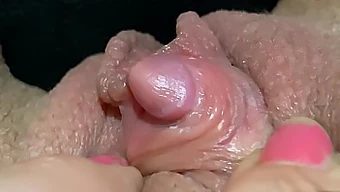 Peludos e depilados: Uma compilação de vídeos POV em close-up de clitóris grandes